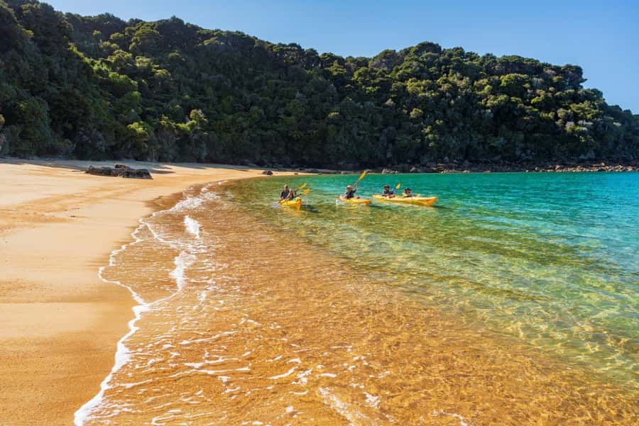 Abel Tasman National Park: Cruise, Kayak, & Hike Tour - Lunch, refreshments, and time to swim