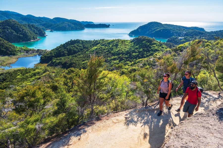 Abel Tasman National Park: Cruise, Kayak, & Hike Tour - What the $417 price really covers