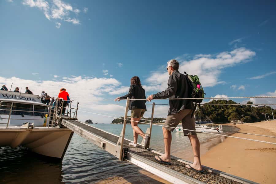 Abel Tasman National Park: Cruise, Kayak, & Hike Tour - From Nelson to Kaiteriteri by comfortable van