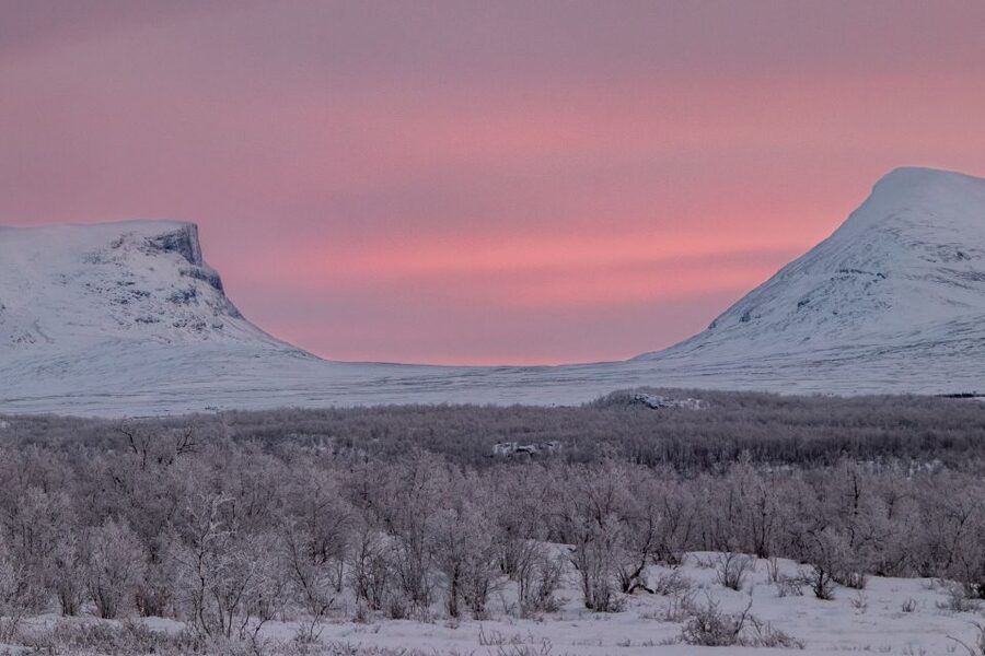 Abisko National Park: Scenic Morning Hike with Transfer - Winter walking: easy does not mean effortless