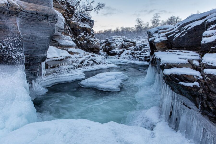 Abisko National Park: Scenic Morning Hike with Transfer - What the $88 price really buys