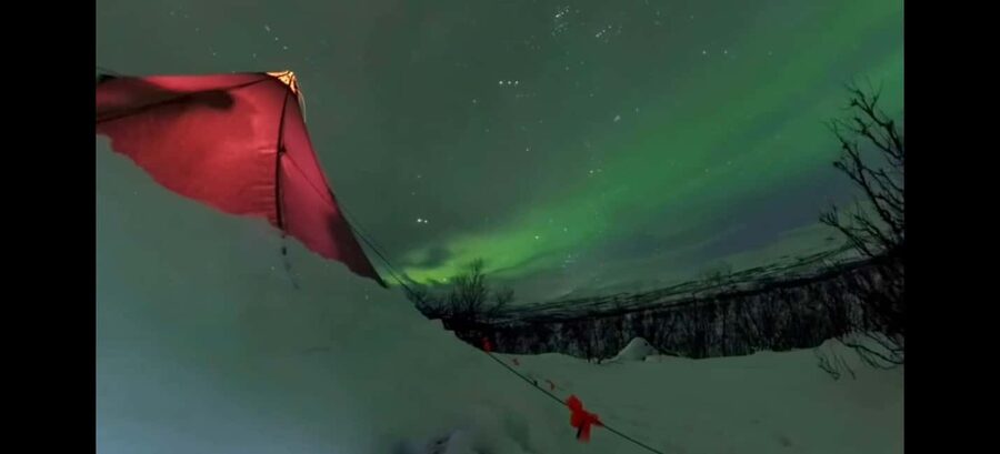 Abisko: Northern Lights Hike with Husky Puppies - Key points to know before booking