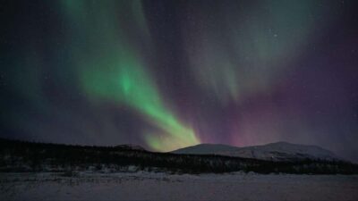 Abisko: Northern Lights Hike with Husky Puppies