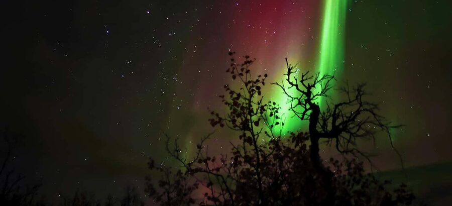 Abisko: Northern Lights Hike with Husky Puppies - Waiting for the Northern Lights in Abisko