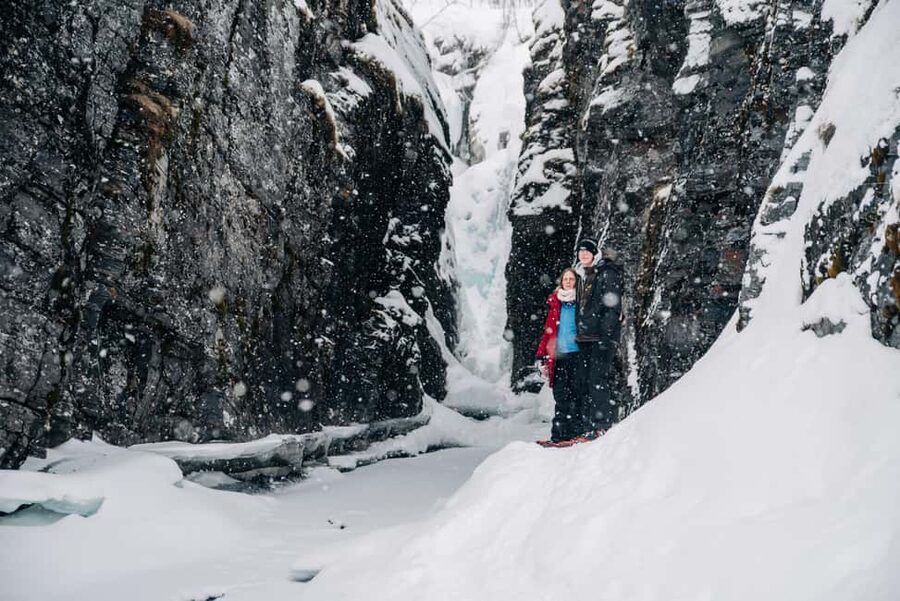 Abisko: Photo Hike with Professional Photographer - Following viewpoints, forests, and frozen water