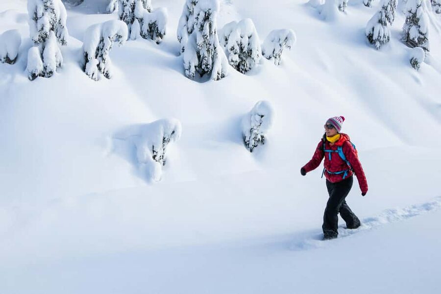 Abisko: Photo Hike with Professional Photographer - Meeting in Abisko and getting ready
