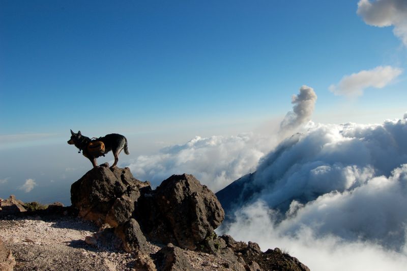 Acatenango Volcano 2-Day Hike - A high camp at 3,750 meters