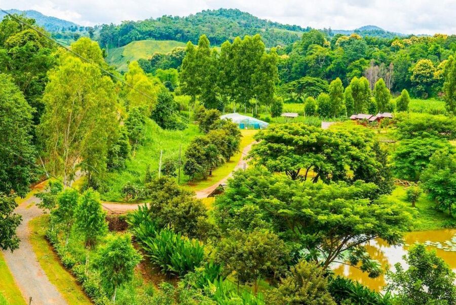 Akha & Lahu village trekking 1 day - Key points to know before booking