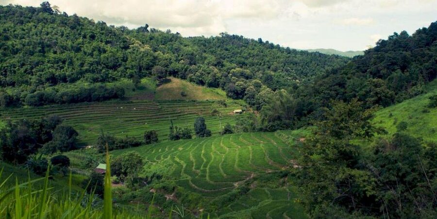Akha & Lahu village trekking 1 day - The bamboo forest lesson