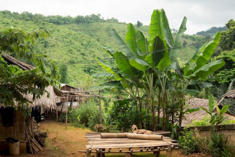 Akha & Lahu village trekking 1 day - What the $87 price includes