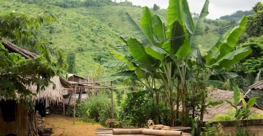 Akha & Lahu village trekking 1 day - Meeting the Akha community and learning local customs