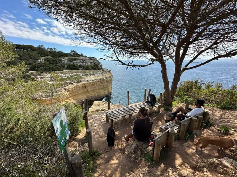 Algarve: 7 Seven Hanging Valley Hike Tour- Photos & Transfer - Why this coastal hike works well