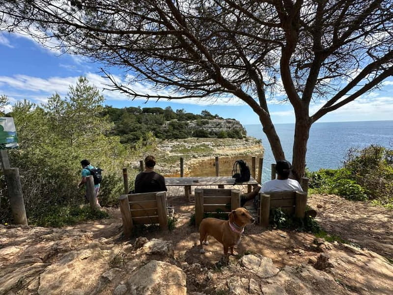Algarve: 7 Seven Hanging Valley Hike Tour- Photos & Transfer - Meeting at Vale Centeanes Beach