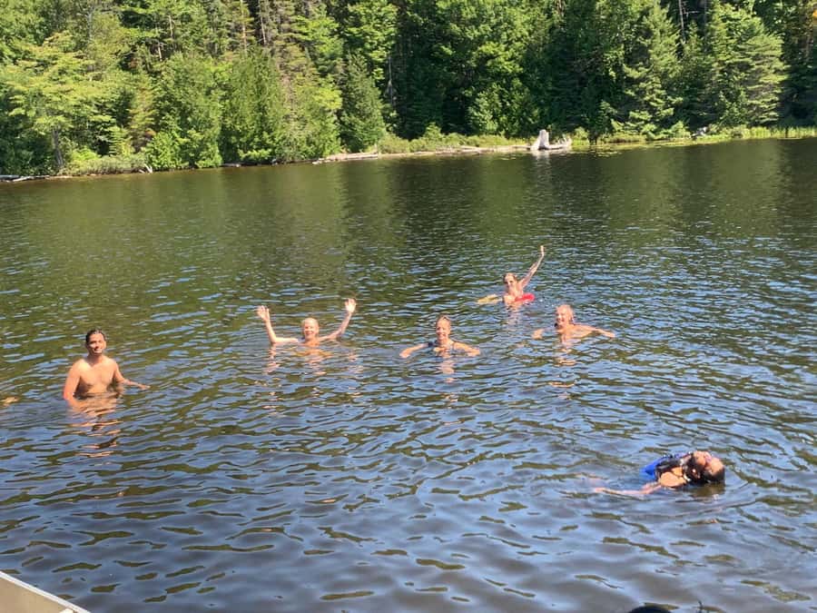 Algonquin Park Hiking: Adventure Tour from Toronto - Wildlife and the Four Seasons