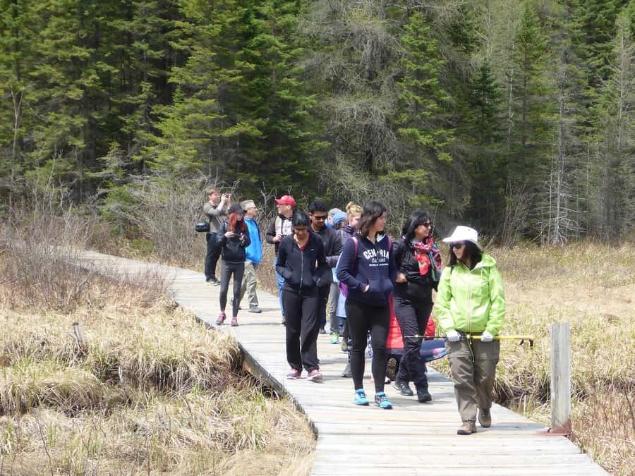 Algonquin Park Hiking: Adventure Tour from Toronto - What the Guide Adds to the Day