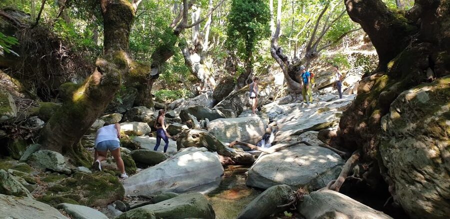 Andros: Achla River Trekking to the Waterfall - Trekking through the Achla River