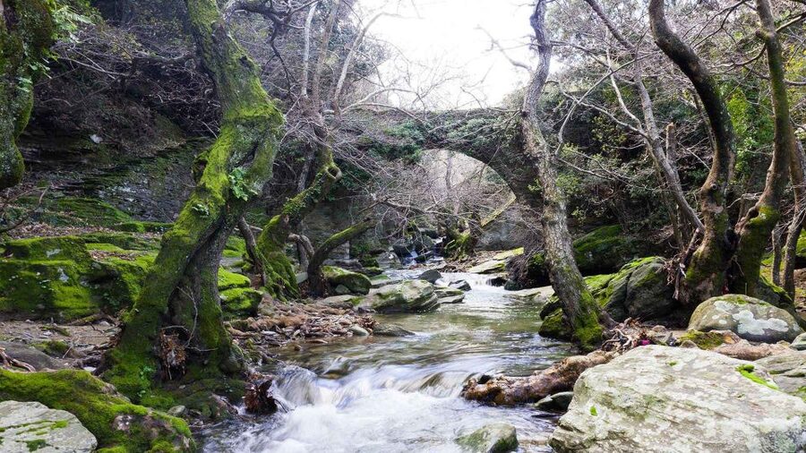 Andros: Achla River Trekking to the Waterfall - The easier route back