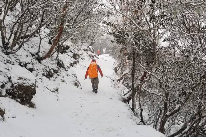 Annapurna base camp trek 5 Days - Day 5: Sunrise above the trail and the return to Sinuwa