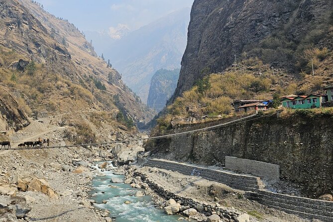 Annapurna Circuit Trek with Tilicho Lake (16 Days) - Days 10 to 12: Yak Kharka, Thorong Phedi, and Thorong La