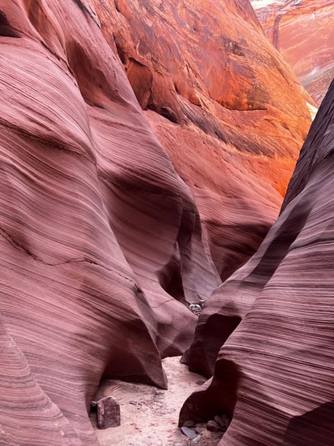 Antelope Canyon Lake Powell: Guided Kayaking & Hike Tour - Swimming in Lake Powell before the return
