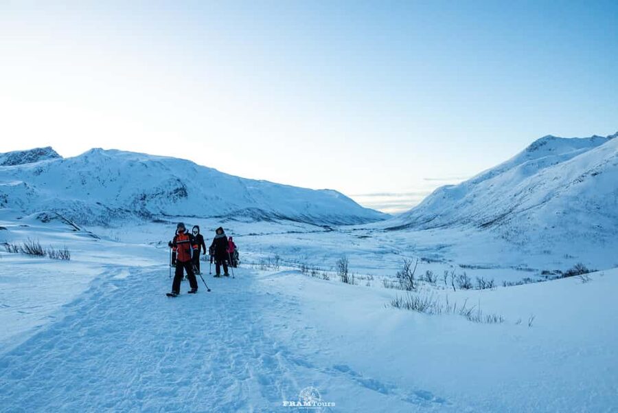 Arctic hike on Kvaløya Island with drinks and snacks - What the guide adds to the walk