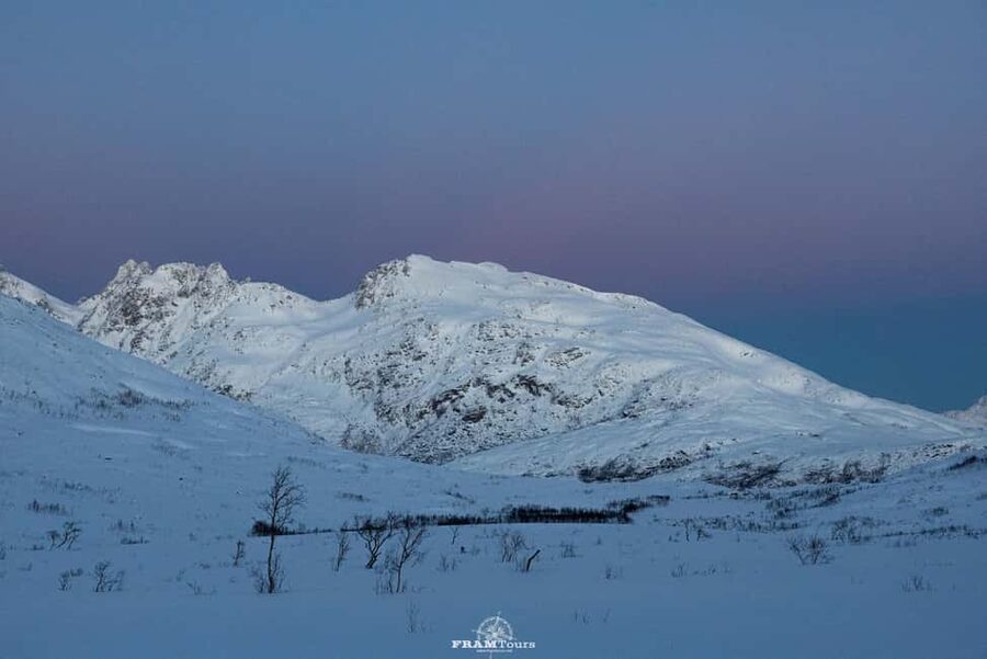 Arctic hike on Kvaløya Island with drinks and snacks - Snowshoeing across Kvaløya’s quiet trails
