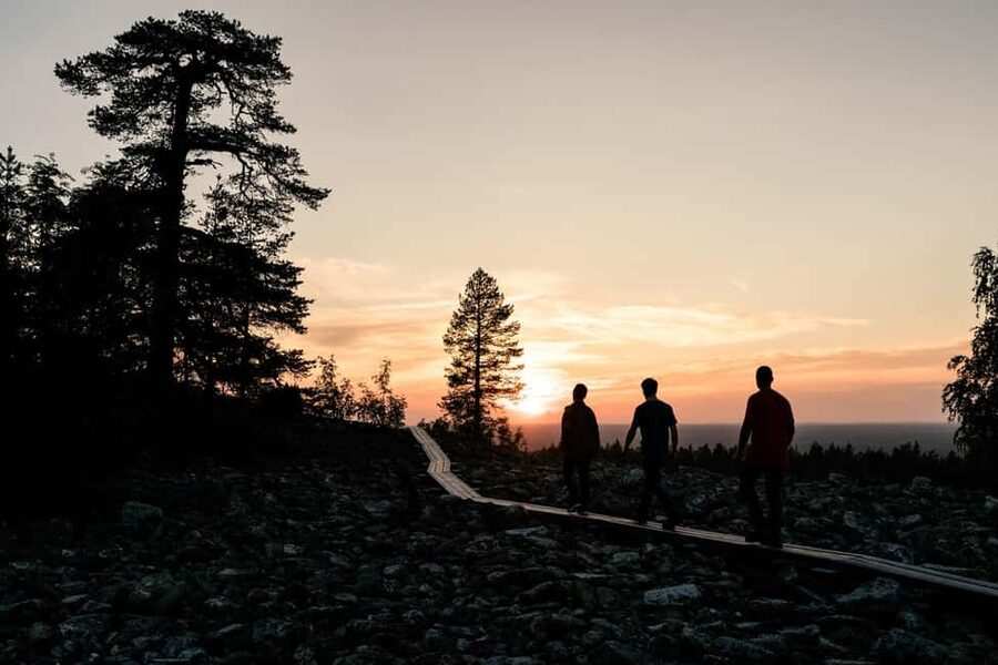 Arctic Wilderness Hike from Rovaniemi (Day & Evening) - Following the forest trail for 4 to 5 kilometers