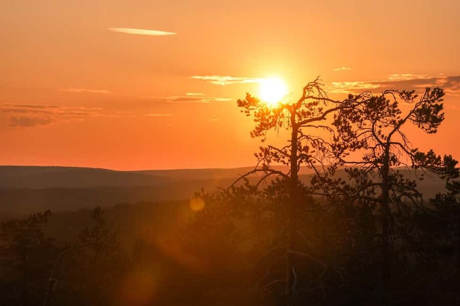 Arctic Wilderness Hike from Rovaniemi (Day & Evening) - Leaving Rovaniemi for the Arctic woods
