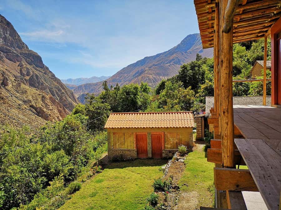 Arequipa: 2-day Colca Canyon Trekking, Ending in Puno - Cruz del Cóndor and the famous canyon view
