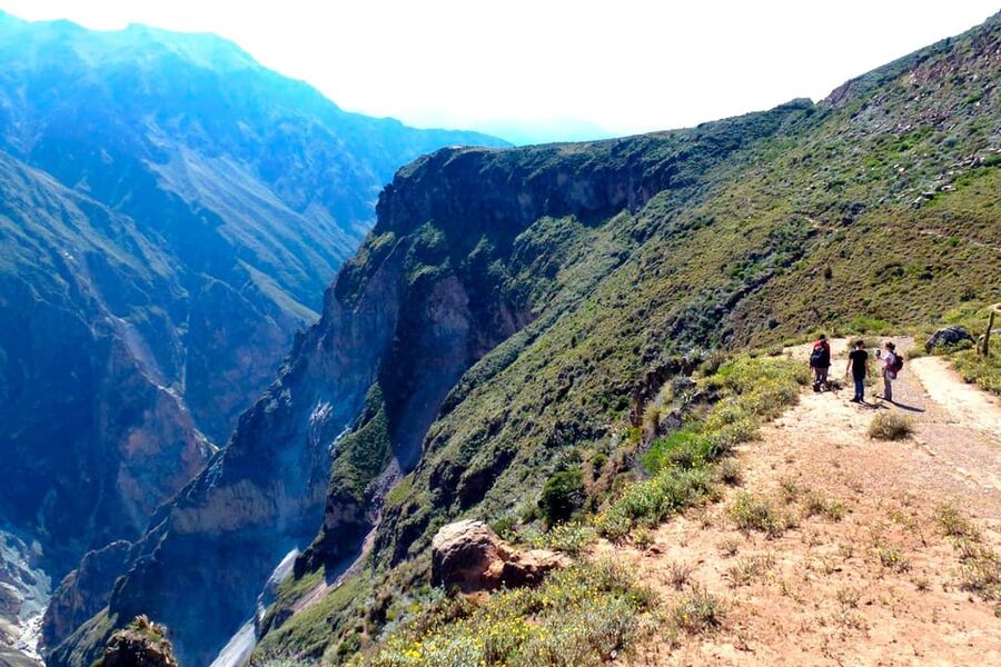 Arequipa: 2-day Colca Canyon Trekking, Ending in Puno - The steep descent from Pampas de San Miguel