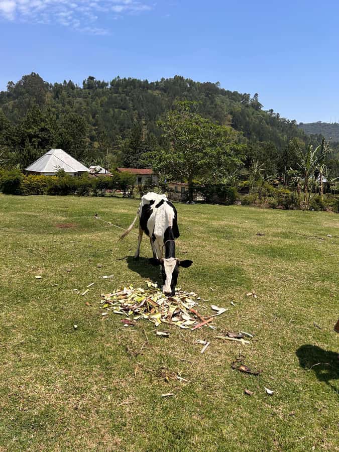 Arusha: Napuru Waterfalls Guided Hike - What makes the Napuru Waterfalls hike worth your time