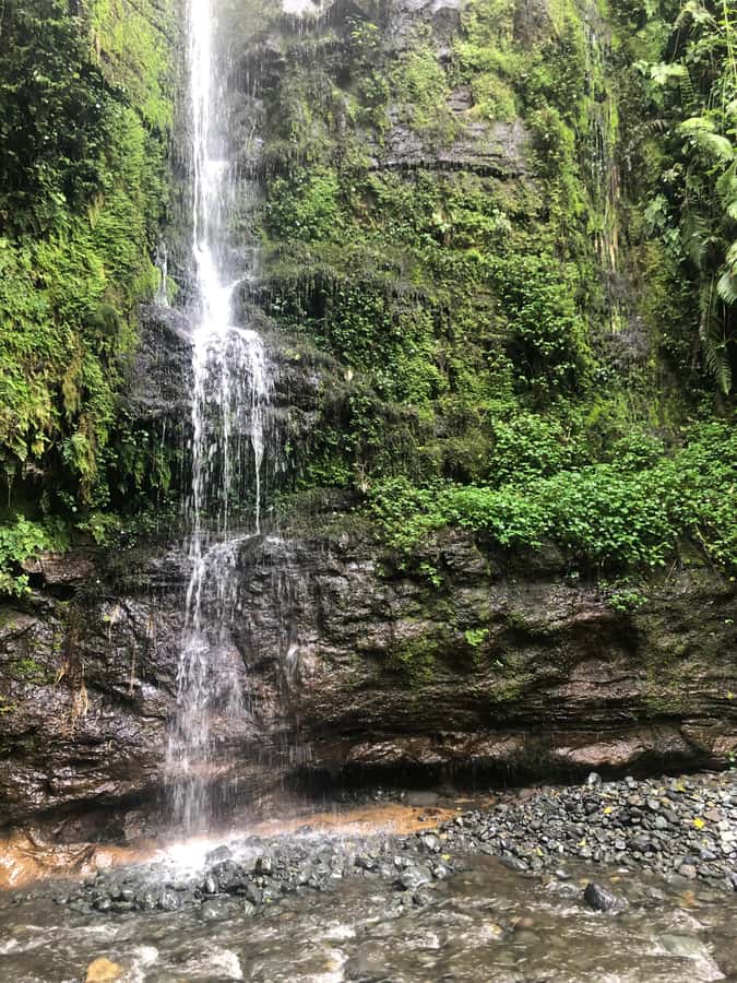 Arusha: Napuru Waterfalls Guided Hike - Booking, timing, and cancellation details