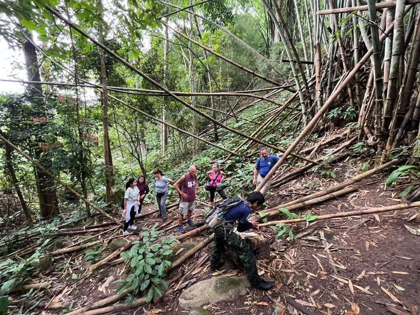 Authentic trek only walk in Chiang Rai jungle - Bamboo cooking is the heart of the day
