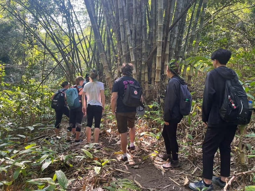 Authentic trek only walk in Chiang Rai jungle - The first walk through Chiang Rai’s jungle