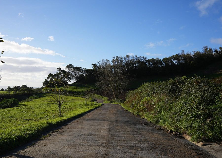 Azores: São Miguel and Lagoa do Fogo Hiking Trip - Key points to know before booking