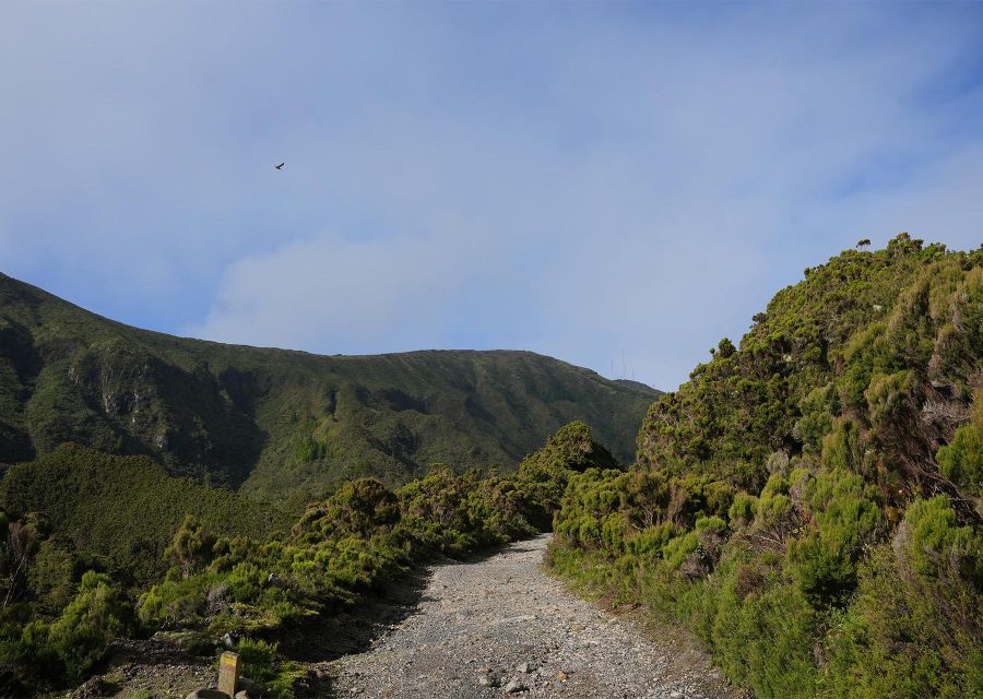 Azores: São Miguel and Lagoa do Fogo Hiking Trip - Following the levada toward Lagoa do Fogo