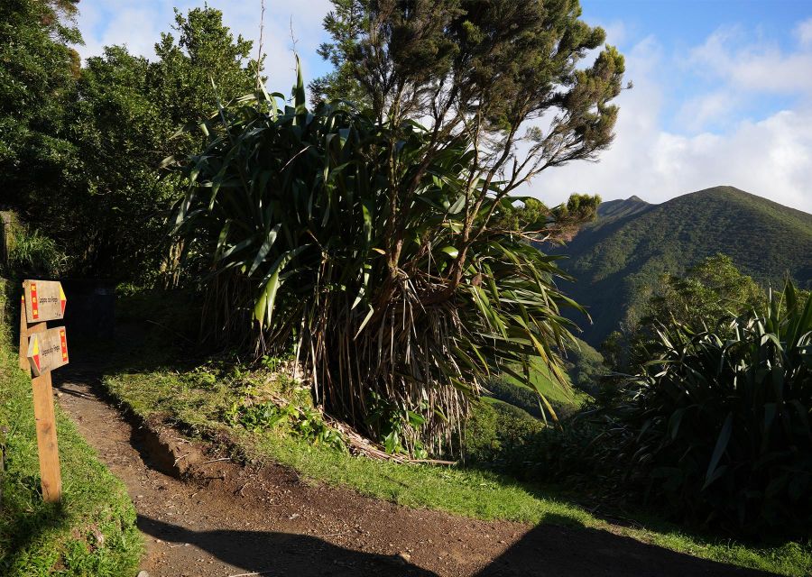 Azores: São Miguel and Lagoa do Fogo Hiking Trip - A picnic beside the clear water