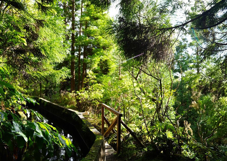 Azores: São Miguel and Lagoa do Fogo Hiking Trip - The steep descent and the south coast return