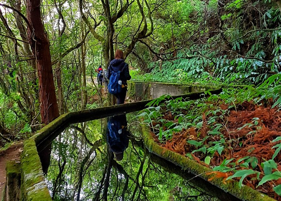 Azores: São Miguel and Lagoa do Fogo Hiking Trip - Who should book this São Miguel hike?