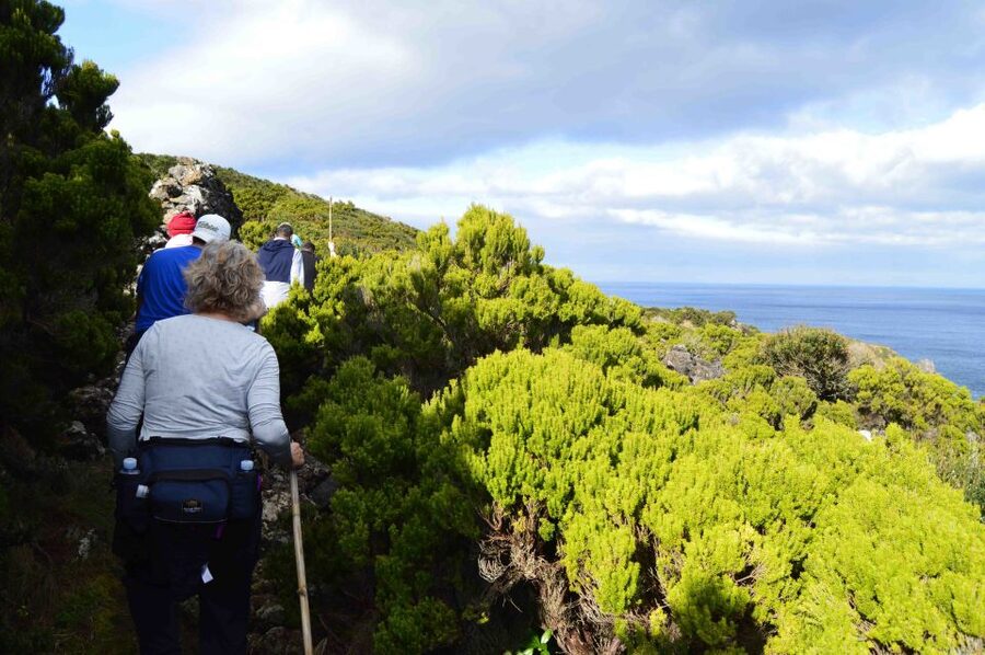 Baías de Agualva hiking - Terceira island - A short route with a few serious slopes