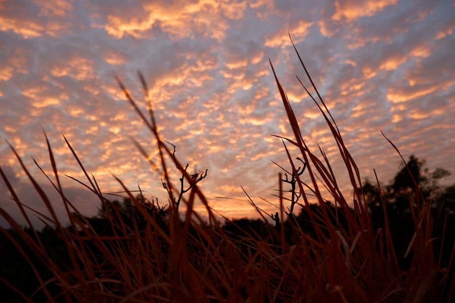 Bali: Mount Batur Entry Ticket on a Guided Hike or Jeep Ride - Starting at the exclusive trail point