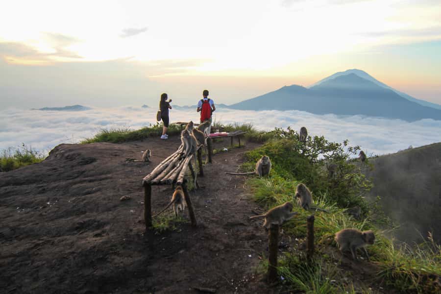 Bali: Mount Batur Sunrise Hike and Hidden Waterfall - Drivers make the long road easier