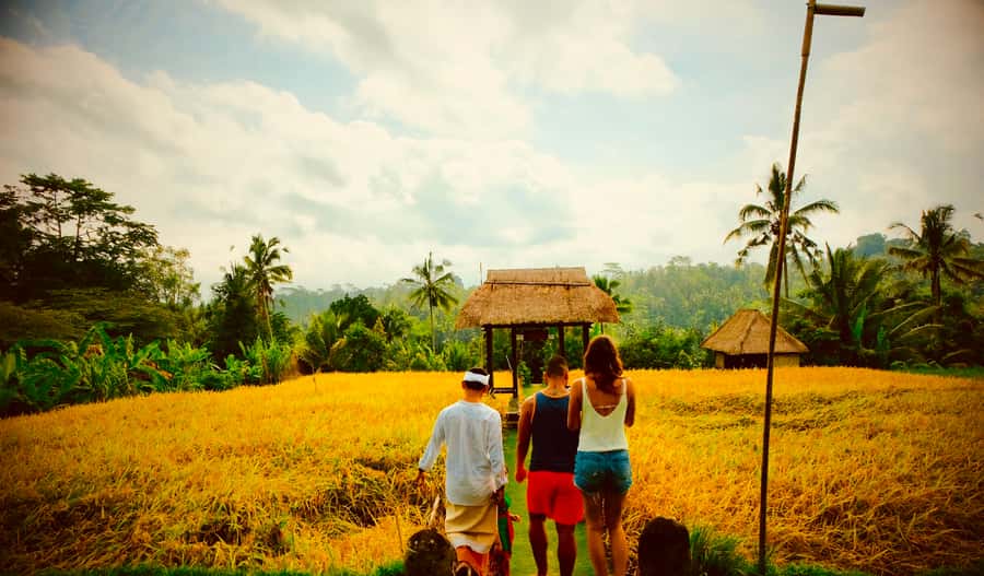 Bali: Mount Batur Sunrise Hike with Breakfast & Hot Spring - The descent and optional hot spring