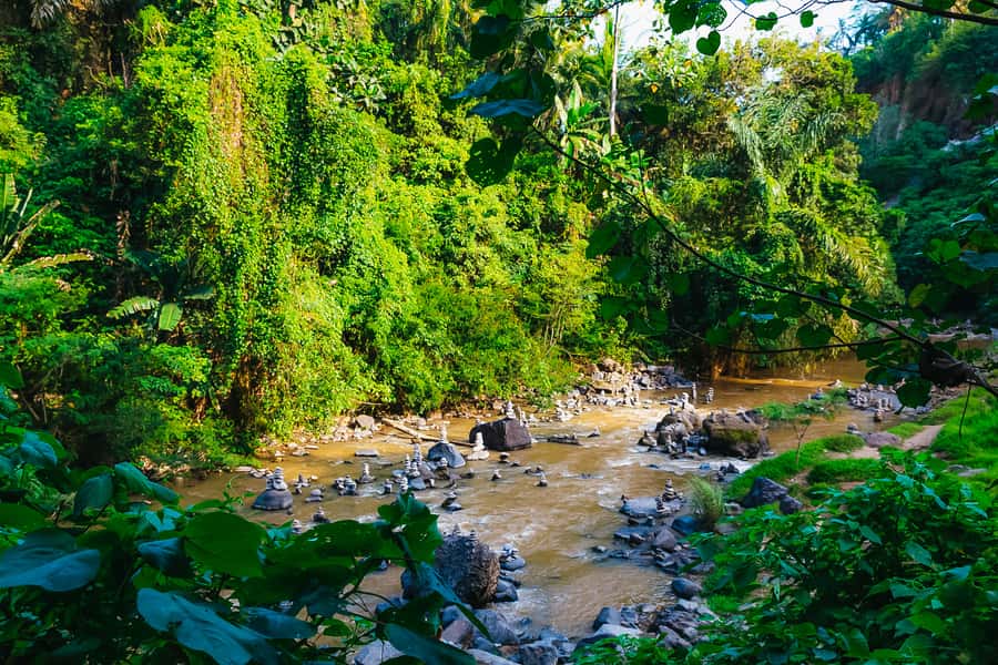 Bali: Mount Batur Sunrise Trek and White Water Rafting - The coffee plantation stop is optional