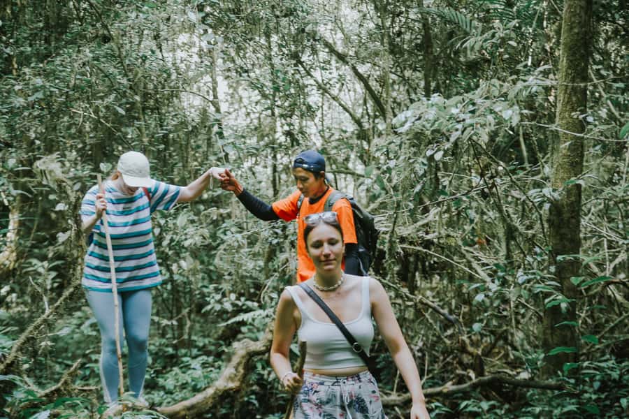 Bali: Munduk Waterfalls Trek, Twin Lakes and Temple Tour - Why Munduk makes a fine change from southern Bali