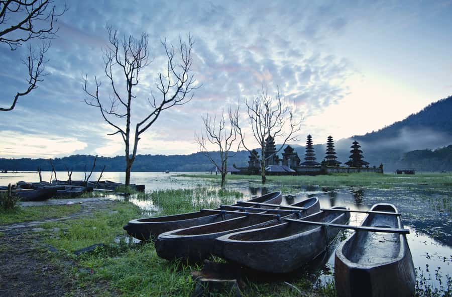 Bali: Munduk Waterfalls Trek, Twin Lakes and Temple Tour - Walking through the rainforest