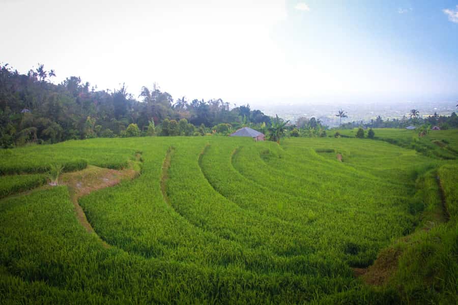 Bali: Sambangan Waterfalls Trekking, Sliding, & Jumping Trip - Key points at a glance