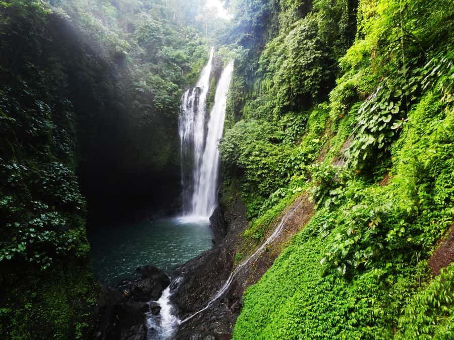 Bali: Sambangan Waterfalls Trekking, Sliding, & Jumping Trip - Blue Lagoon and the Sambangan Secret Garden