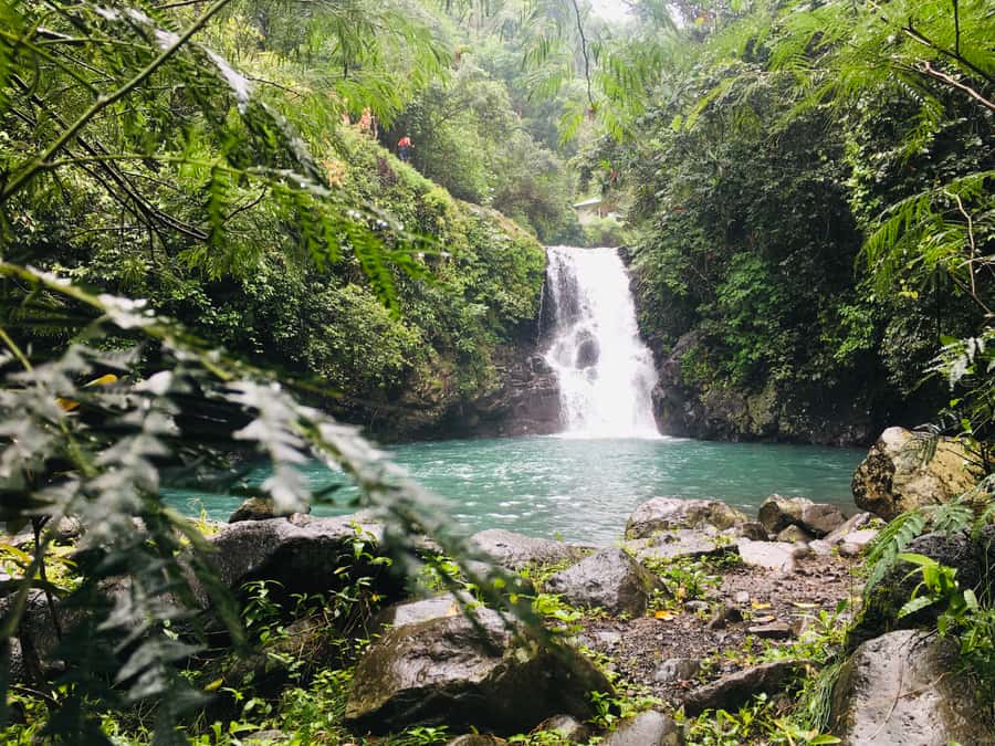 Bali: Sambangan Waterfalls Trekking, Sliding, & Jumping Trip - Aling-Aling Waterfall and the move toward adventure