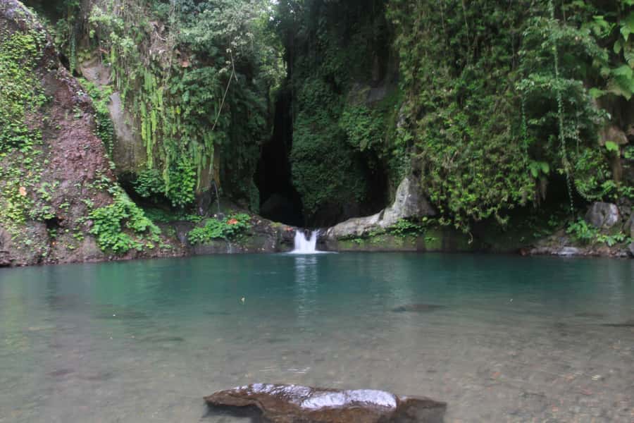 Bali: Sambangan Waterfalls Trekking, Sliding, & Jumping Trip - A walk through rice fields and tropical crops